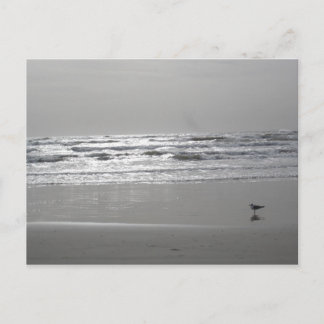 Cartão Postal Cartão-postal de Ondas de Escuta