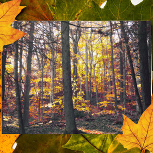 Cartão Postal Cartão-postal de outono Preto e Branco