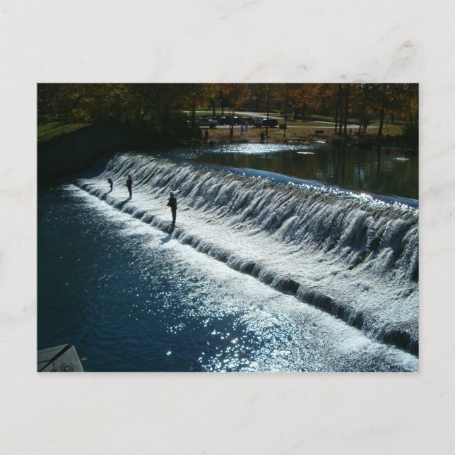 Cartão Postal Cartão-postal de pesca com mosca (Frente)