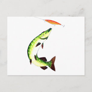 Cartão Postal Cartão-postal de pesca Pike