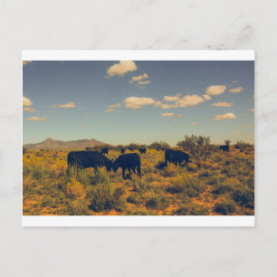 Cartão Postal Cartão-postal de pico de cookes 07