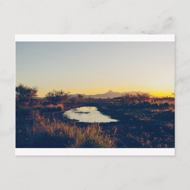 Cartão Postal Cartão-postal de pico de cookes 08 (Frente)