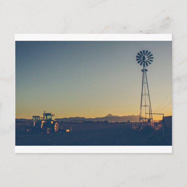 Cartão Postal Cartão-postal de pico de cookes 09 (Frente)