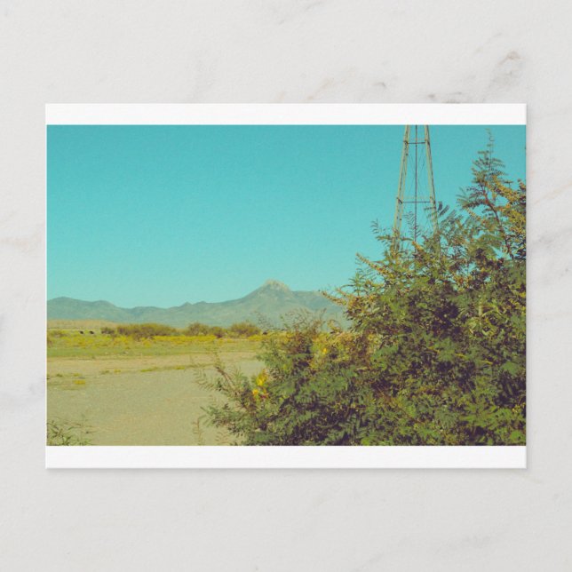 Cartão Postal Cartão-postal de pico de cookes 10 (Frente)