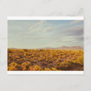 Cartão Postal Cartão-postal de pico de cookes 14