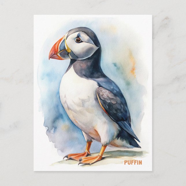 Cartão Postal Cartão-postal de pintura aquosa de pássaro Puffin (Frente)