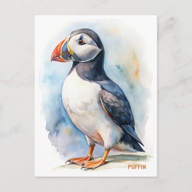 Cartão Postal Cartão-postal de pintura aquosa de pássaro Puffin (Frente)