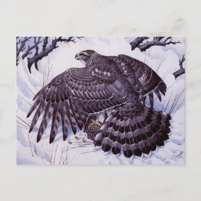 Cartão Postal Cartão-postal de pintura clássico (Frente)