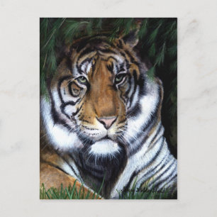 Cartão Postal Cartão-postal de pintura Tiger