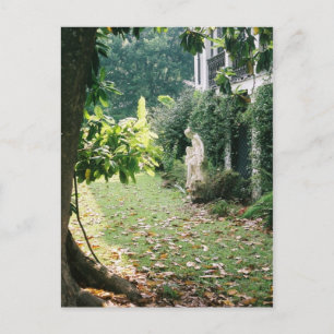 Cartão Postal Cartão-postal de Plantação de Ausência