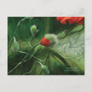Cartão Postal Cartão-postal de Poppies Dançam