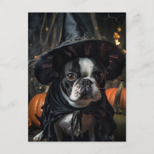 Cartão Postal Cartão-postal de porco Halloween Boston Terrier