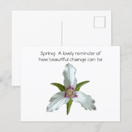 Cartão Postal Cartão-postal de Primavera de flor selvagem com tr
