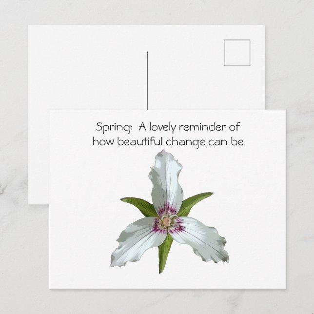 Cartão Postal Cartão-postal de Primavera de flor selvagem com tr (Frente/Verso)