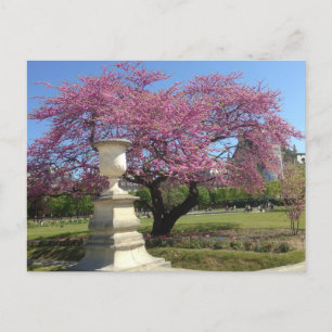 Cartão Postal Cartão-postal de primavera em Paris