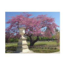 Cartão-postal de primavera em Paris