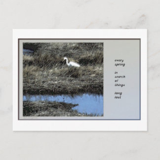 Cartão Postal Cartão-postal de Primavera Haiku