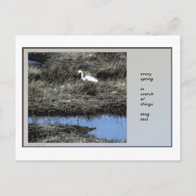 Cartão Postal Cartão-postal de Primavera Haiku (Frente)