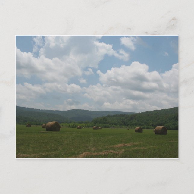 Cartão Postal Cartão-postal de Primaveras Beersheba (Frente)