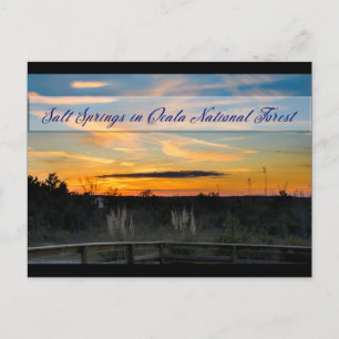 Cartão Postal Cartão-postal de Primaveras Salgados