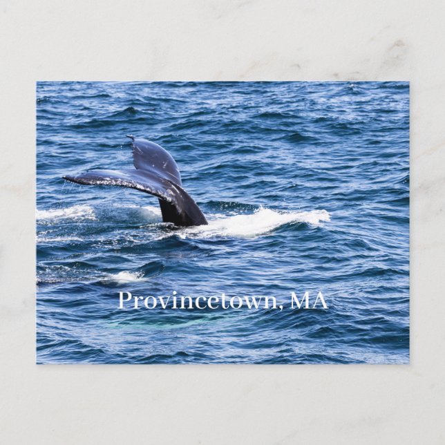Cartão Postal Cartão-postal de Provincetown (Frente)