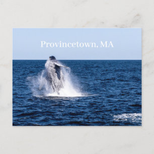 Cartão Postal Cartão-postal de Provincetown