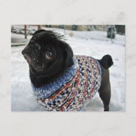 Cartão Postal Cartão-postal de Pug Suéter de Neve