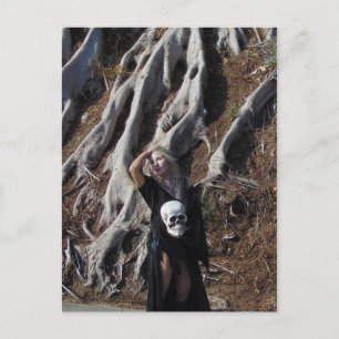 Cartão Postal Cartão-postal de Raízes Vamplificadas