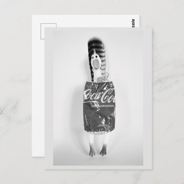 Cartão Postal Cartão-postal de Reciclar de frango de borracha (Frente/Verso)