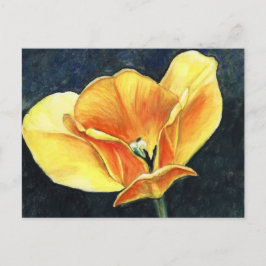 Cartão Postal Cartão-postal de reprodução de arte florida Open T