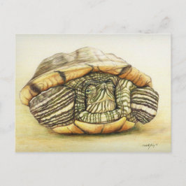 Cartão Postal Cartão-postal de reprodução de arte "Tartaruga"