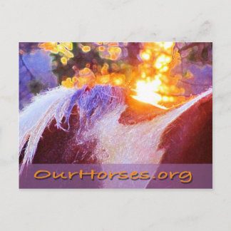 Cartão Postal Cartão-postal de retorno de sofi