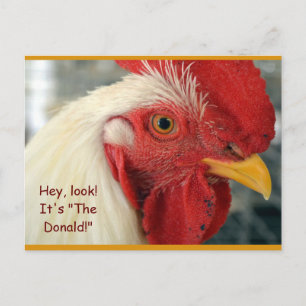 Cartão Postal Cartão-postal de Rooster Divertido "Ei, Olha! É o