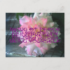 Cartão Postal Cartão-postal de Rosa de Paz