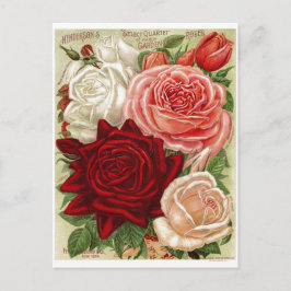 Cartão Postal Cartão-postal de Rosas de jardinagem Vintage