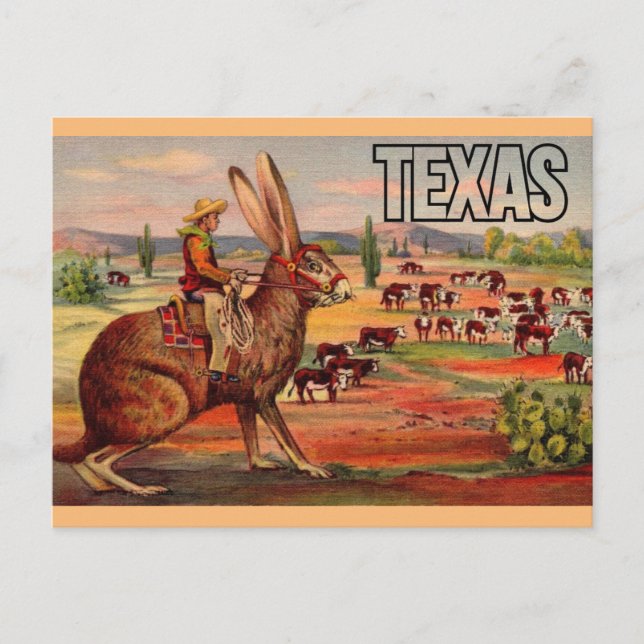 Cartão Postal Cartão-postal de saudações do Texas Viagem - Viage (Frente)