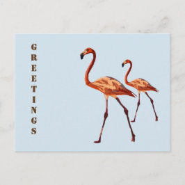 Cartão Postal Cartão-postal de saudações Flamingos Rosa