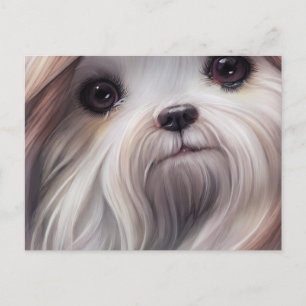 Cartão Postal Cartão-postal de saudações Shih Tzu