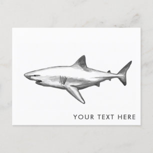 Cartão Postal Cartão-postal de Shark legal