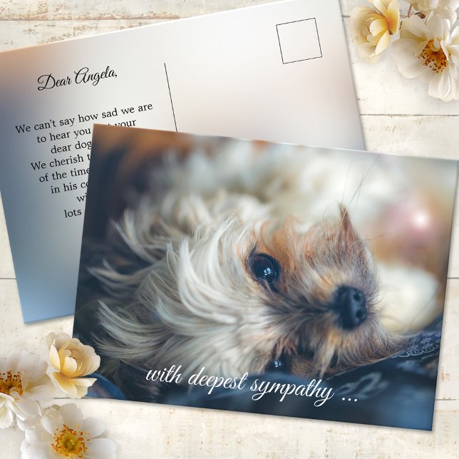 Cartão Postal Cartão-postal de simpatia com cachorro (Postcard featuring an image of a dog in a dreamy light. Use a custom photo for sympathy greetings)