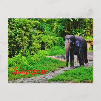 Cartão Postal Cartão-postal de Singapura