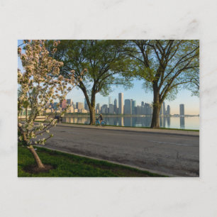 Cartão Postal Cartão-postal de solidariedade de carro para baixo