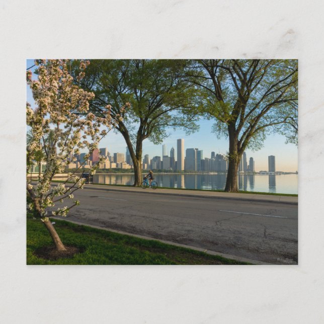 Cartão Postal Cartão-postal de solidariedade de carro para baixo (Frente)