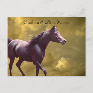 Cartão Postal Cartão-postal de Stormy Sunset do Estalão Árabe