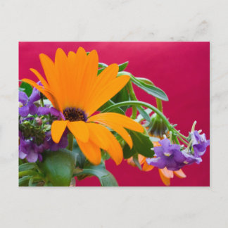 Cartão Postal Cartão-Postal De Tema Da Flor Laranja E Roxo
