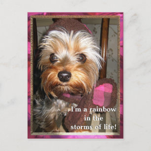 Cartão Postal Cartão-postal de Tempestades de Vida