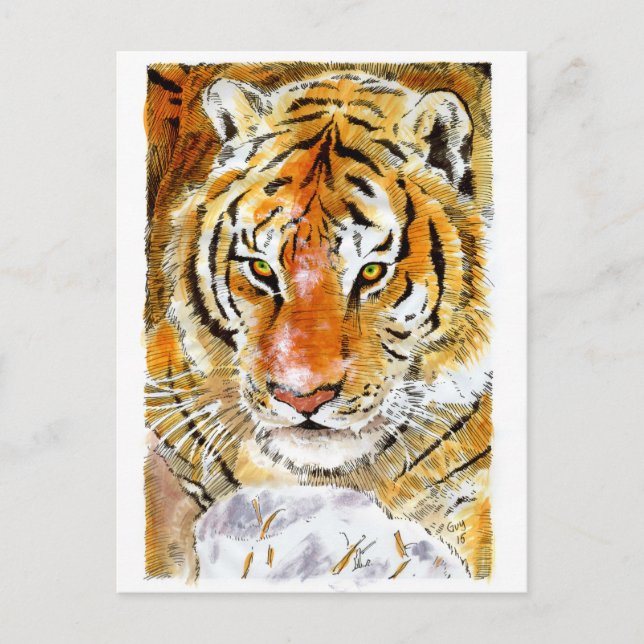 Cartão Postal Cartão-postal de Tigre de Neve (Frente)