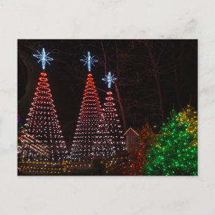 Cartão Postal Cartão-postal de três árvores no centro da cidade