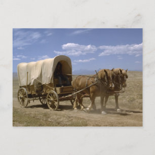 Cartão Postal Cartão-postal de vagão puxado por cavalos