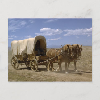 Cartão Postal Cartão-postal de vagão puxado por cavalos